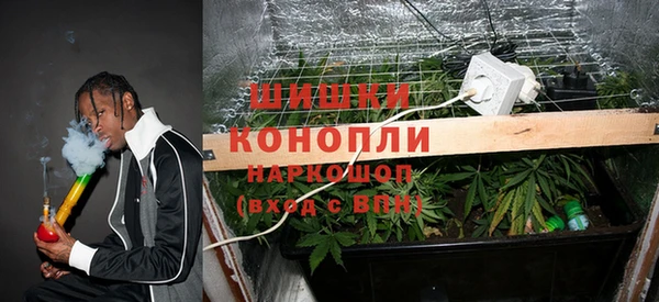 мет Осташков