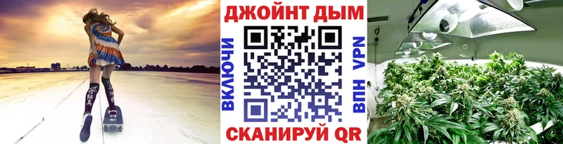 даркнет какой сайт  наркота  Бавлы  Марихуана сатива 